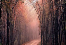 东京奥运会前景可期，球员备战者无比努力